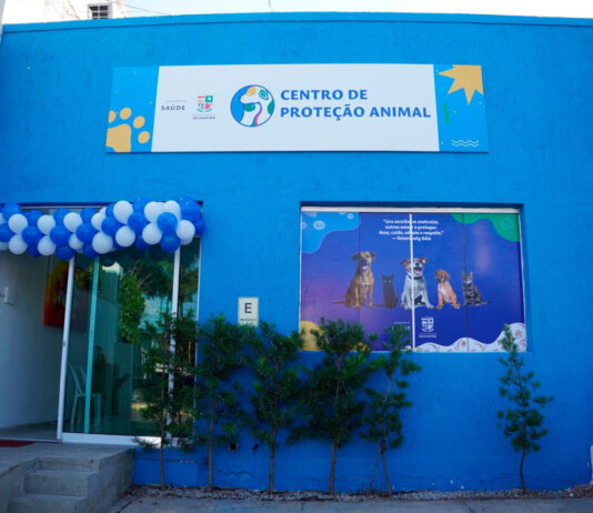 MPPE investiga se canil de Salgueiro pratica maus-tratos e despejo de animais mortos em rodovias