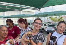 Petrolina: Feira de Adoção proporcionou um novo lar para 90% dos animais
