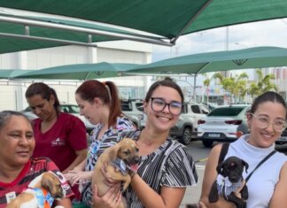 Petrolina: Feira de Adoção proporcionou um novo lar para 90% dos animais