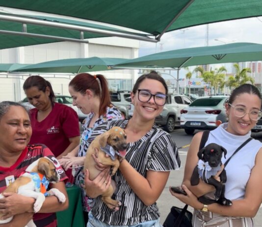 Petrolina: Feira de Adoção proporcionou um novo lar para 90% dos animais