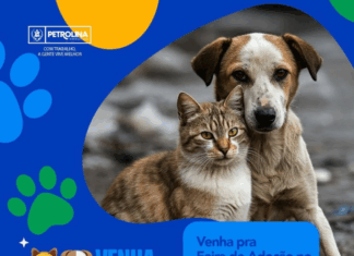 Segunda edição da Feira de Adoção de Animais acontece nesse sábado no estacionamento do River Shopping
