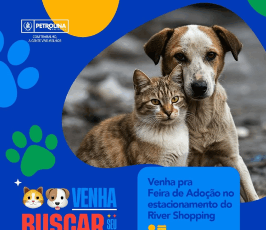 Segunda edição da Feira de Adoção de Animais acontece nesse sábado no estacionamento do River Shopping