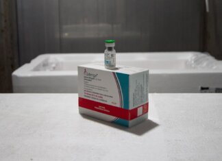 Vacina contra a dengue: Pernambuco inicia a imunização crianças e adolescentes