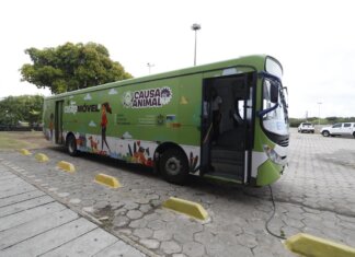 Pernambuco lança política estadual que vai promover mais de 33 mil castrações gratuitas de cães e gatos