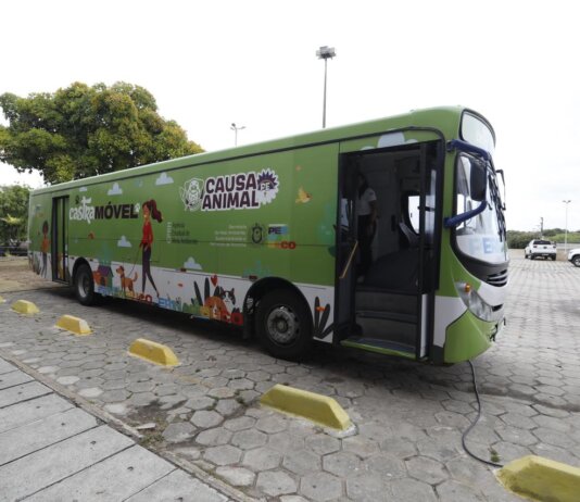 Pernambuco lança política estadual que vai promover mais de 33 mil castrações gratuitas de cães e gatos