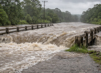 MPPE recomenda adoção de medidas emergenciais em Santa Maria da Boa Vista e mais 4 municípios