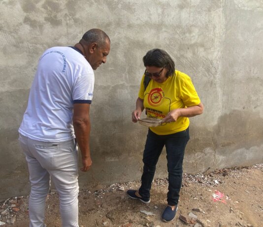 Aedes aegypti: Petrolina inicia nova pesquisa do LIRAa na cidade