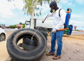 Resultado do 2º LIRAa aponta Petrolina em situação de alerta para o mosquito Aedes aegypti