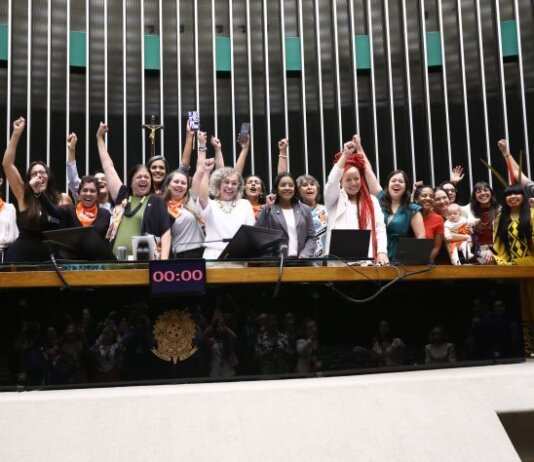 Câmara aprova projeto que regulamenta a profissão de doula