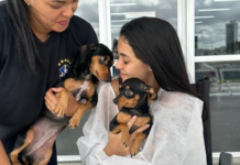 Pets levam alegria a paciente internada no HU-Univasf Petrolina