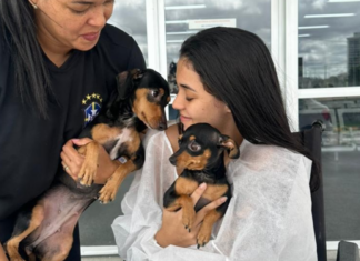 Pets levam alegria a paciente internada no HU-Univasf Petrolina