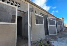 Primeiro Canil/Gatil Municipal de Petrolina entra na fase de conclusão da obra