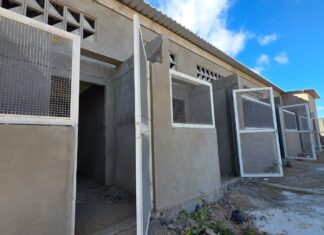 Primeiro Canil/Gatil Municipal de Petrolina entra na fase de conclusão da obra