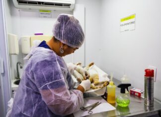 Coordenação de Bem-Estar Animal de Petrolina amplia equipe de veterinários
